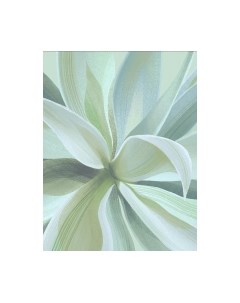 Фотообои листовые Citydecor Sunset 43