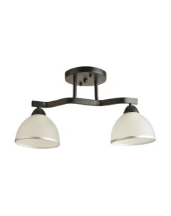 Потолочный светильник Mirastyle BL-8205/2 BK