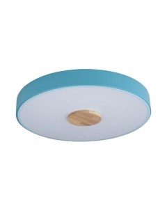 Потолочный светильник Loftit Axel 10003/24