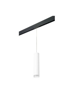 Трековый светильник Lightstar Rullo PRORP49630