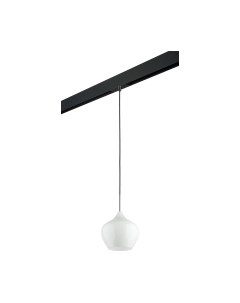 Трековый светильник Lightstar Pentola / PRO803040