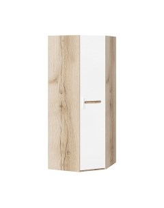 Шкаф Фьюжн ТД-260.07.03 Трия