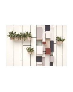 Фотообои листовые ФабрикаФресок Абстракция. Полки с Растениями / 1154270 Фабрикафресок