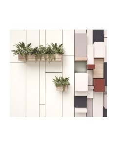 Фотообои листовые ФабрикаФресок Абстракция. Полки с Растениями / 1153270 Фабрикафресок