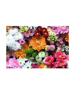 Фотообои листовые ФабрикаФресок Цветочная Оранжерея / 1014270 Фабрикафресок