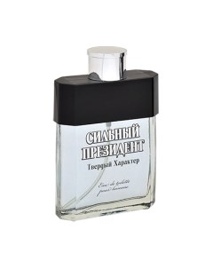 Туалетная вода Сильный Президент Твердый Характер Positive parfum