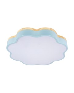 Потолочный светильник Loftit Axel 10225/36