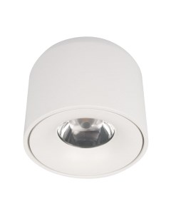 Потолочный светильник Loftit Tictac 3000K / 10219