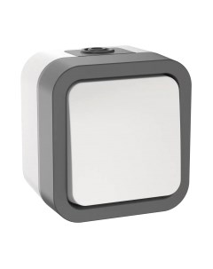 Выключатель IEK Tors TS-V10-0-10-55-K41 Iek