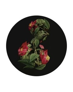 Картина на стекле Stamprint Иллюзия 1 SP030