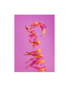 Картина на стекле Летающие листья SP021 Stamprint