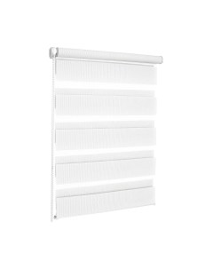 Рулонная штора Эскар День-Ночь 43x170 / 400501043