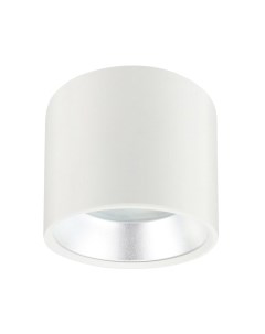 Точечный светильник ЭРА OL8 GX53 WH/SL / Б0048537 Эра
