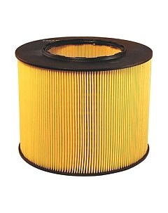 Воздушный фильтр Filtron AR366/2