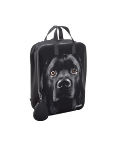 Рюкзак Erich Krause StreetLine 16L Black Dog / 60343 Erich krause