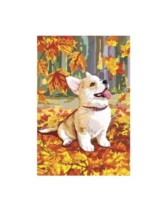 Набор алмазной вышивки Школа талантов Корги / 6254898