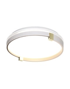 Потолочный светильник Sonex Pale 7646/CL