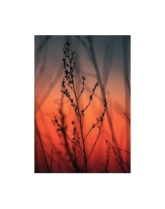 Картина на стекле Ветка в закате SP020 Stamprint