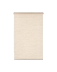 Рулонная штора Lm Decor LM 65-03 100x160 Lm decor