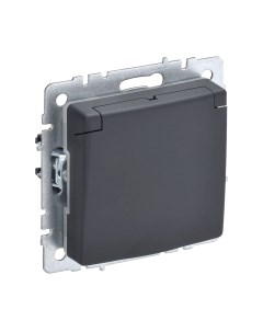 Розетка IEK Brite BR-R16-16-44-K53 Iek