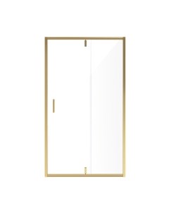 Душевая дверь Niagara NG-43-10AG 100x190