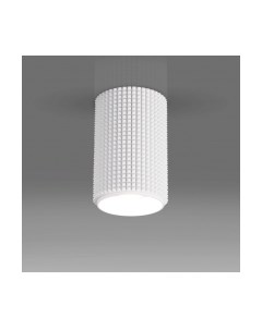 Точечный светильник Elektrostandard DLN112 GU10