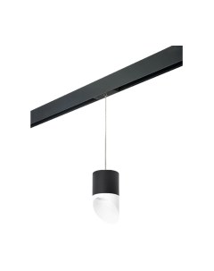 Трековый светильник Lightstar Rullo PRORP348786