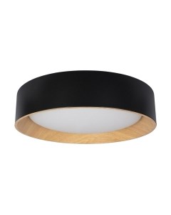 Потолочный светильник Loftit Coin 10202