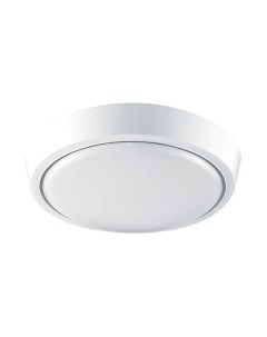Потолочный светильник Estares DLR 12W R-150-CW-WHITE/WHITE-220-IP44