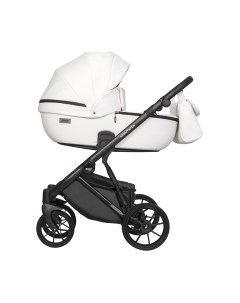 Детская универсальная коляска Riko Montana Ecco 2 в 1