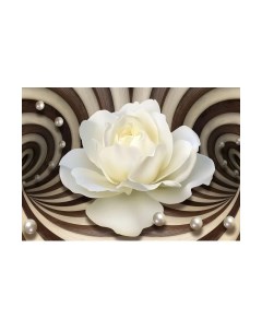 Фотообои листовые Citydecor Абстракция 35