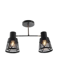 Потолочный светильник Aitin-Pro НПБ 02-2x60-101 / 6074/2 Aitin-pro