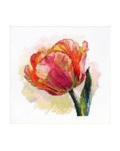 Набор для вышивания Попугай Тюльпан / К-248 Merejka