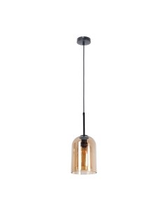 Потолочный светильник Arte Lamp Paio A7015SP-1BK Arte lamp