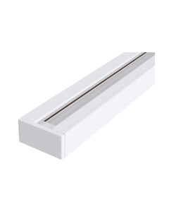 Шинопровод Maytoni Track TRX001-111W