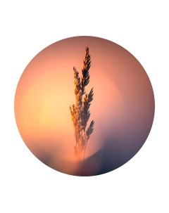 Картина на стекле Теплая ветка 2 SP028 Stamprint