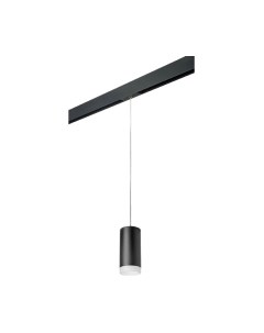 Трековый светильник Lightstar Rullo PRORP648780