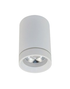 Потолочный светильник Aployt Edda APL.0054.09.10
