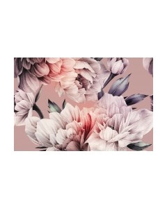 Фотообои листовые Vimala Настенные цветы 17
