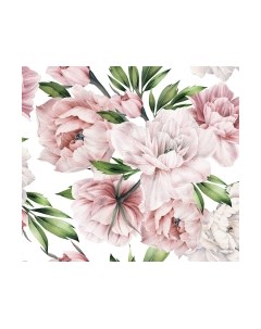 Фотообои листовые Vimala Настенные цветы 18