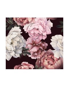 Фотообои листовые Vimala Настенные цветы 25