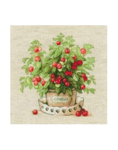 Набор для вышивания Помидоры в горшочке / 1983 Риолис