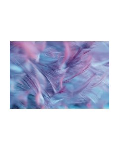 Фотообои листовые Vimala Перья 7