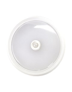 Светильник ЖКХ INhome СПБ-2Д-Круг / 4690612020686 Inhome