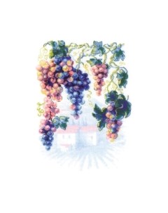 Набор для вышивания Щедрая лоза / 2135 Риолис