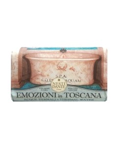 Мыло твердое Nesti Dante Термальный источник Nesti dante