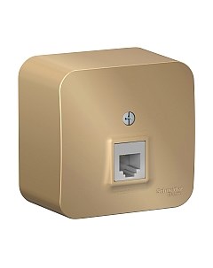 Розетка Systeme (Schneider) Electric Blanca BLNIA011004 Systeme (schneider) electric