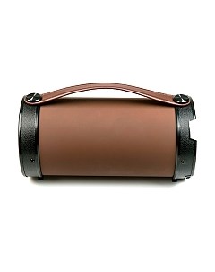 Портативная акустика Dialog Progressive AP-1000