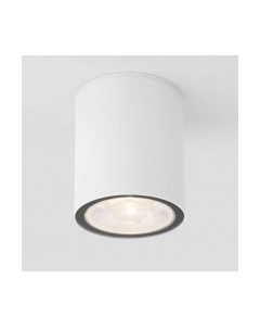 Светильник уличный Elektrostandard Light 2103 35131/H