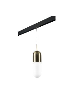 Трековый светильник Lightstar Ramo / PRO690111